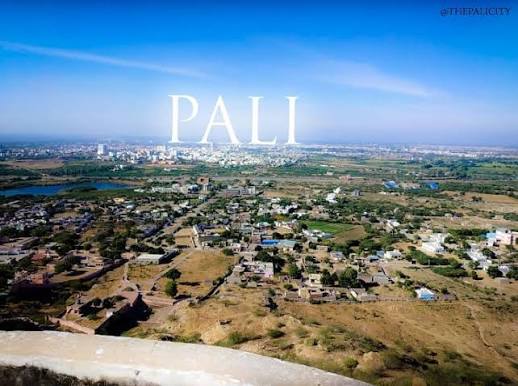 Hotel & Restaurant Manpower Services In Pali