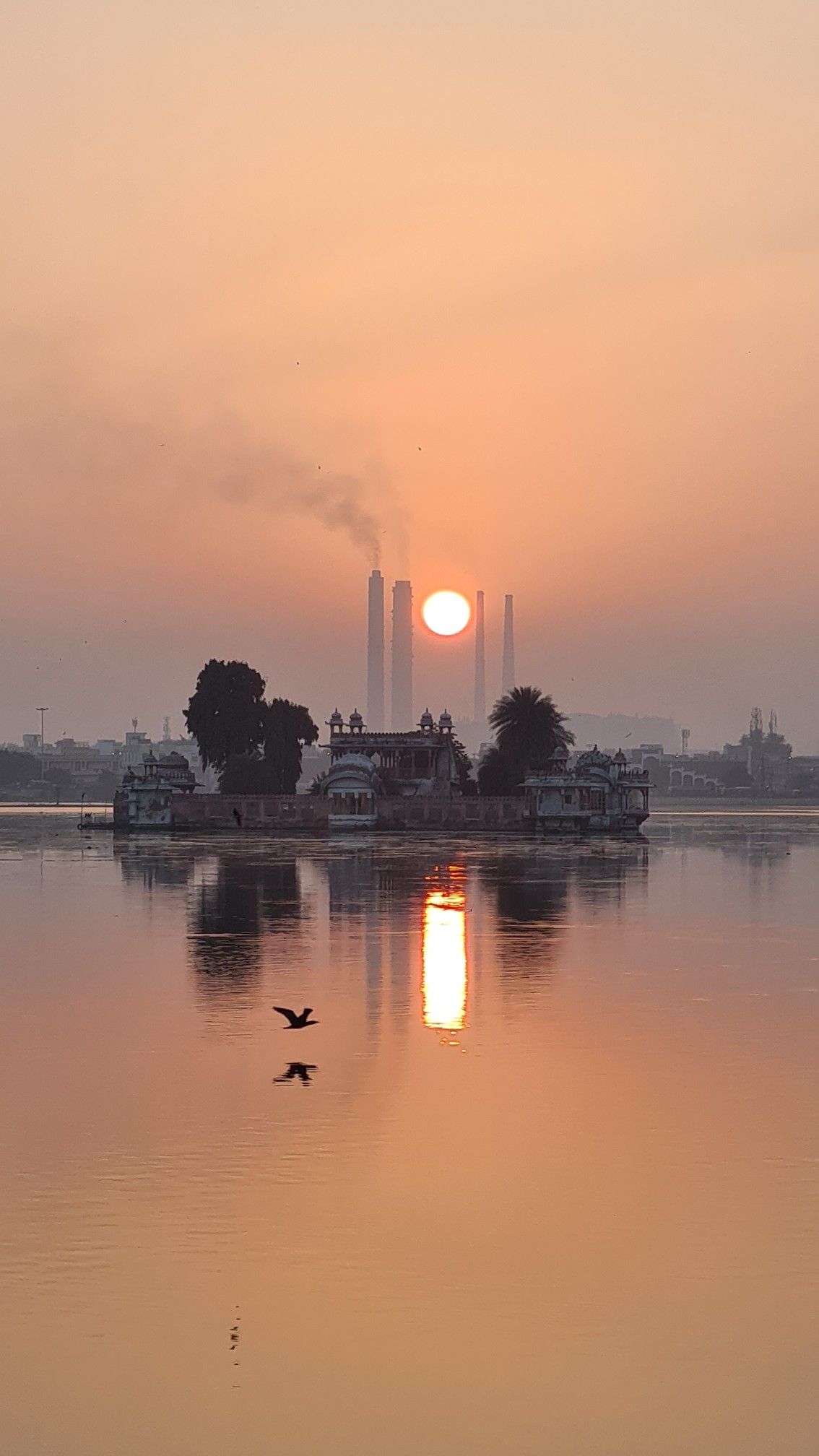 Restaurant & Hotel Manpower Supply In Kota
